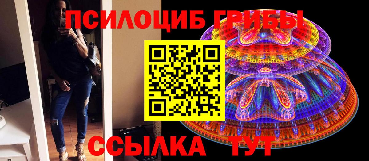 цена наркотик  Вход с VPN  Ногинск  Псилоцибиновые грибы MAGIC MUSHROOMS 